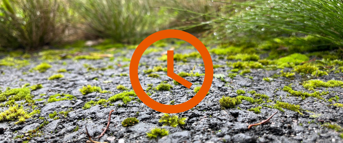 R.A.T. GEAR Logo / Viimeksi lisätyt tuotteet