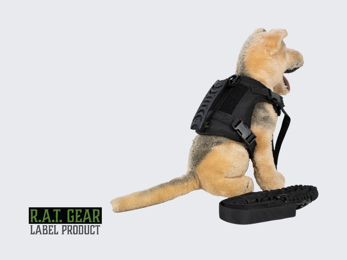 Mustat taktiset kissan tai pienen koiran valjaat. Black tactical cat or small dog harness.