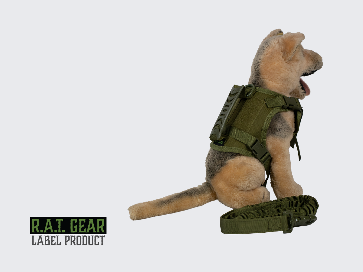 Vihreät taktiset kissan tai pienen koiran valjaat. Green tactical cat or small dog harness.